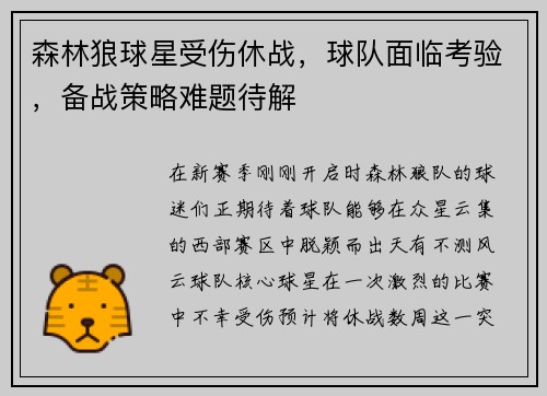 森林狼球星受伤休战，球队面临考验，备战策略难题待解